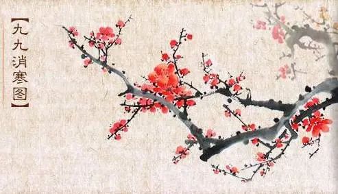 高大的梅花品种，傲骨的象征与文化的传承