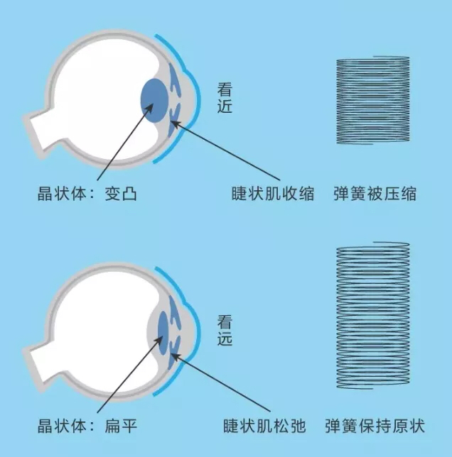 抗疲劳镜片真假鉴别全攻略